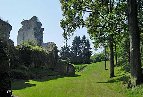 Château fort et motte castrale