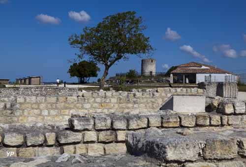 Musée et site gallo-roamins du Fâ