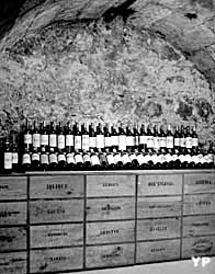 Musée du vin et du négoce (doc. Musée du vin et du négoce)