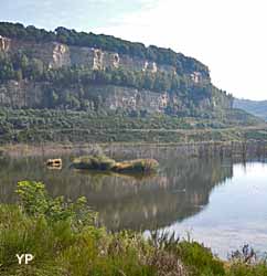 Canyon de Freyming Merlebach (doc. P. Rouget)