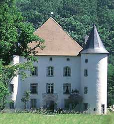 Château d'Etxauz à Saint-Etienne-de-Baïgorry (doc. OT Saint Jean Pied de Port - Baïgorri)