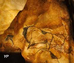 Grotte Chauvet 2 - parmi les 80 animaux de la fresque des lions
