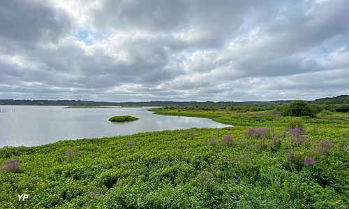 Réserve naturelle du Marais d'Orx