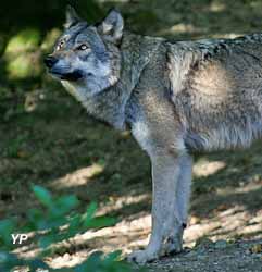 Parc Animalier des Pyrénées