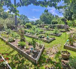 L'Or des Simples - Jardin Botanique de plantes aromatiques et médicinales du Limousin et d'ailleurs (Laurent Pasteur)