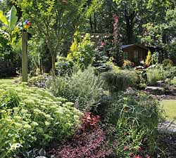 Jardin au paradis des plantes