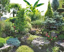 Jardin au paradis des plantes