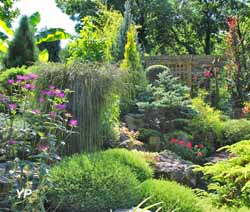 Jardin au paradis des plantes